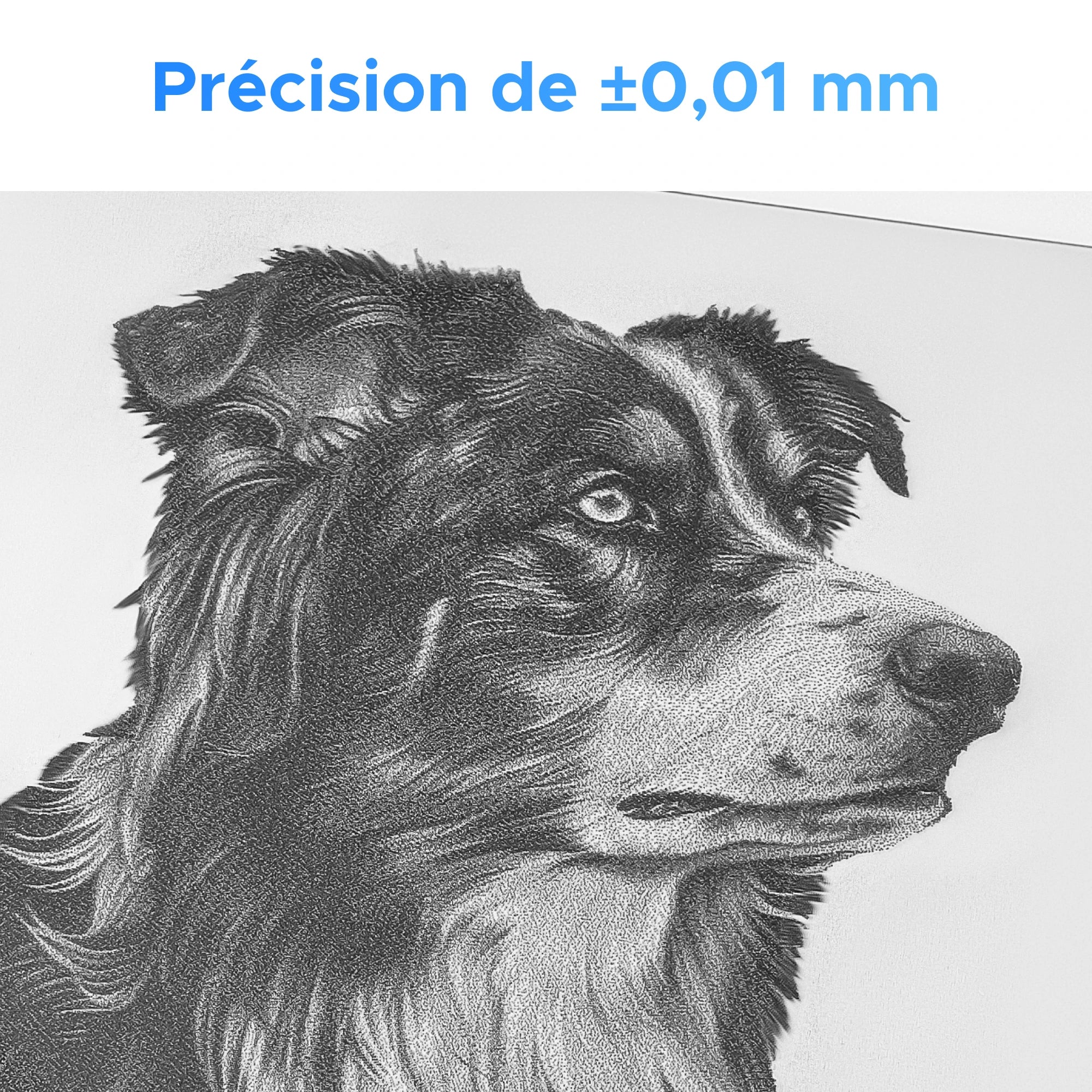 Machine de marquage laser à fibre MOPA JPT 20W avec autofocus | M20C - Image 6